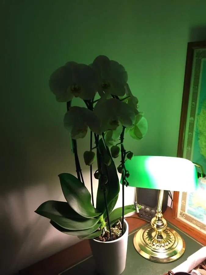 Chambre cocooning avec s.de bain prive Nice